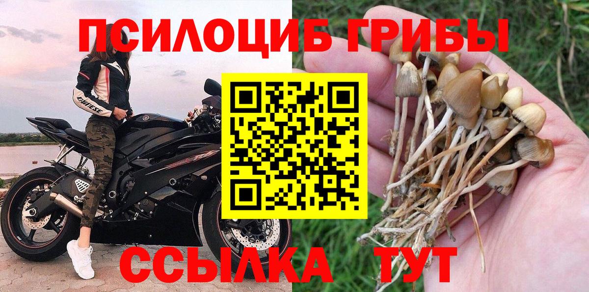 Галлюциногенные грибы мухоморы  Вход с VPN  Дмитров  Галлюциногенные грибы Cubensis 