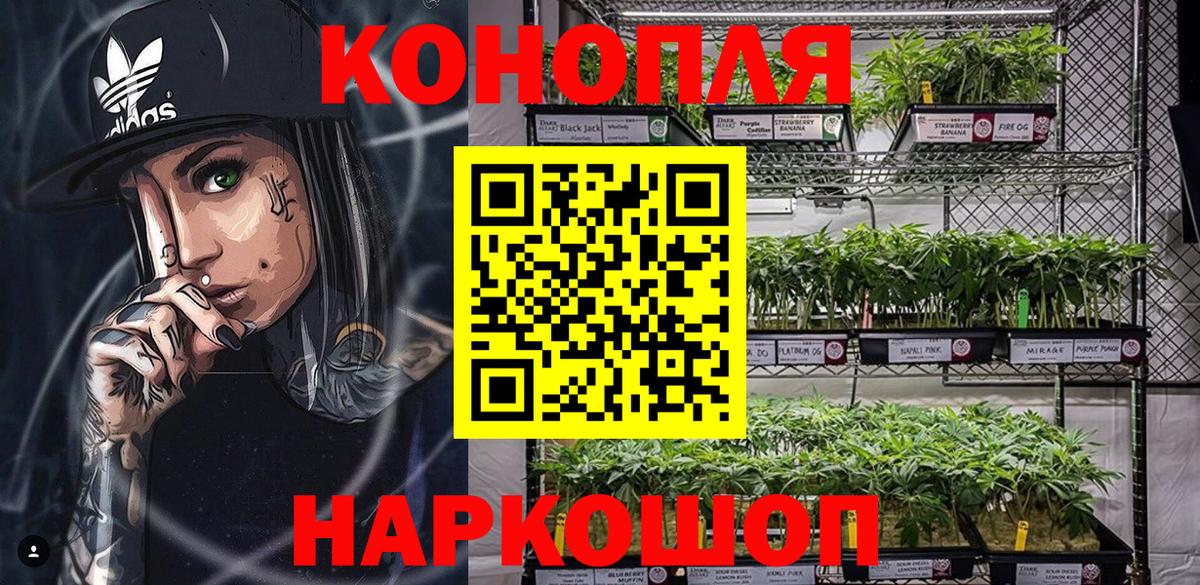 Конопля планчик Дмитров